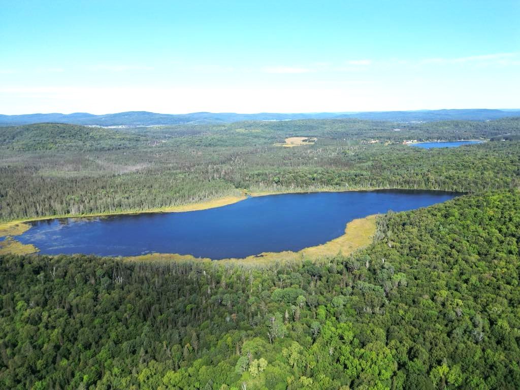 Land in Sainte-Anne-du-Lac 3