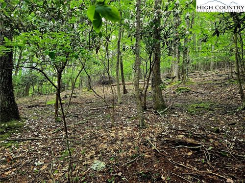 TBD Red Fox Trl, Boone, NC, 28607 | Card Image