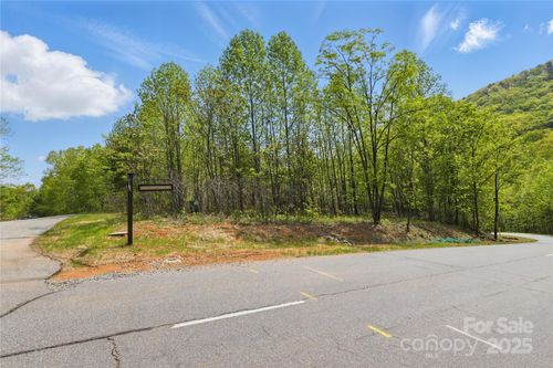 2049-Lot 2049 Deep Gap Farm W, Mill Spring, NC, 28756 | Card Image