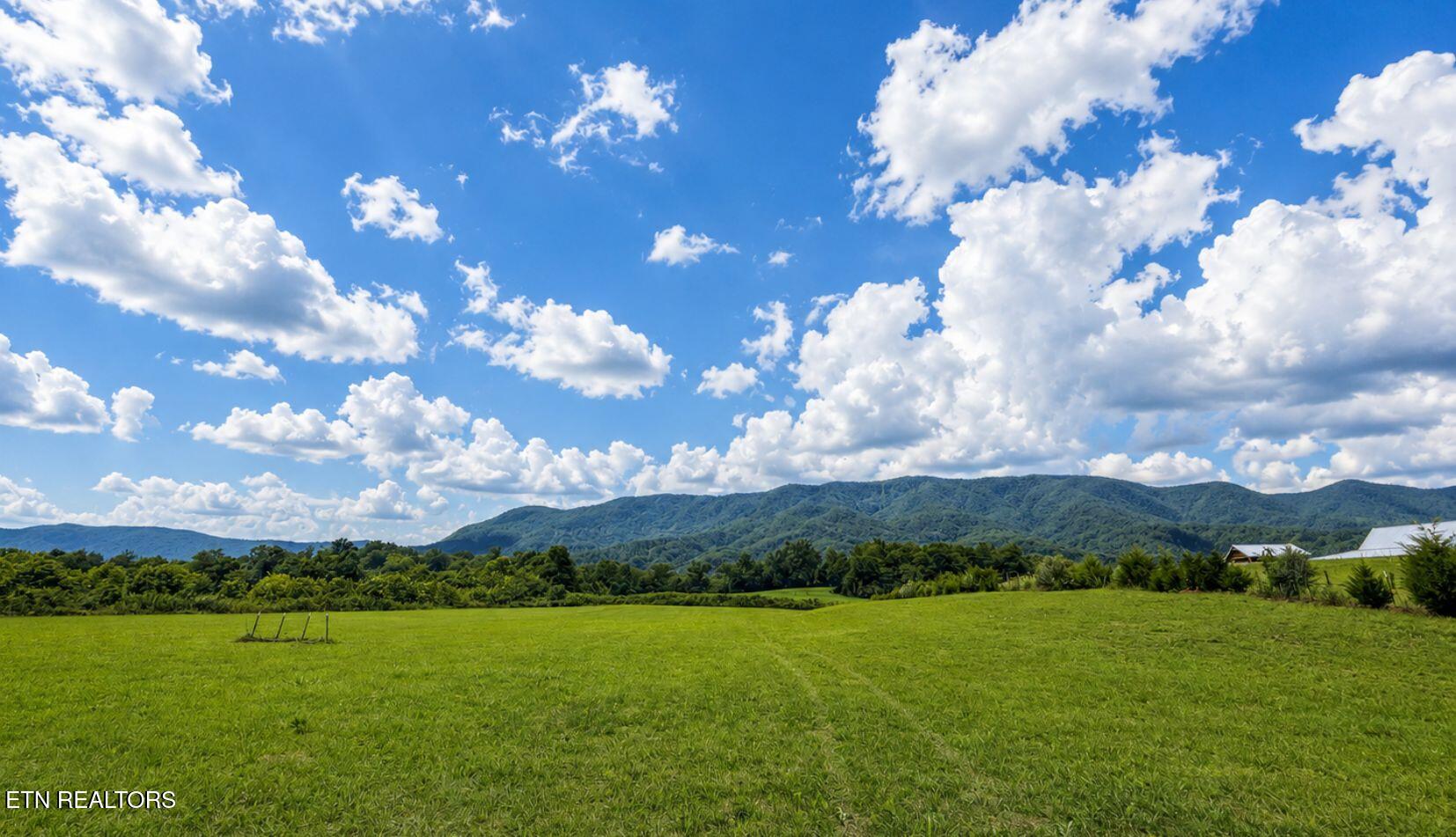 Land in Speedwell 2