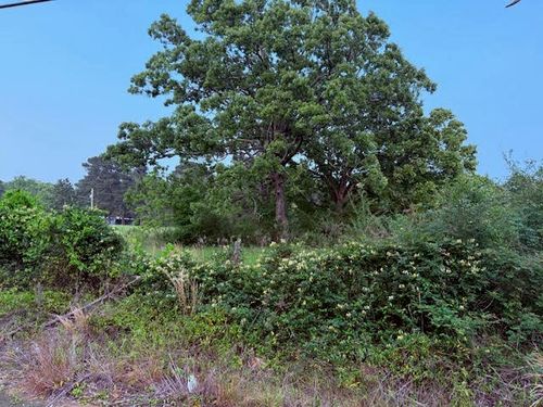 0 Woolworth, Keithville, LA, 71047 | Card Image