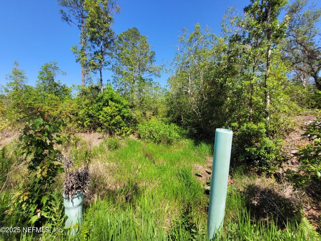 2155 State Road 40, Home with 0 bedrooms, 0 bathrooms and null parking in De Leon Springs FL | Image 70