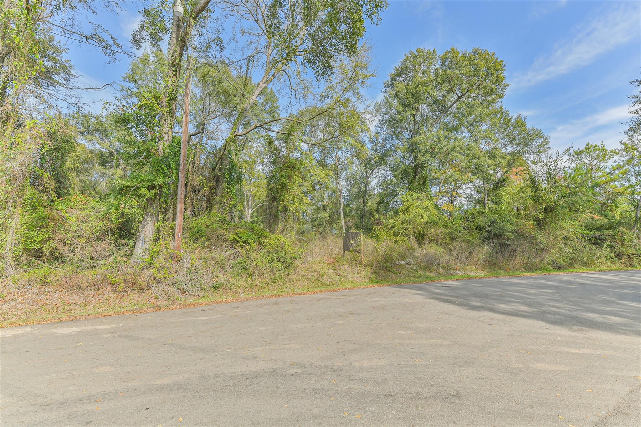 Land in Conroe 4