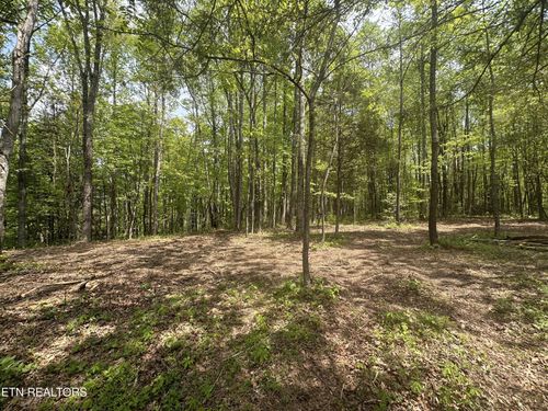 50 Oloff Smith Rd, Allardt, TN, 38504 | Card Image