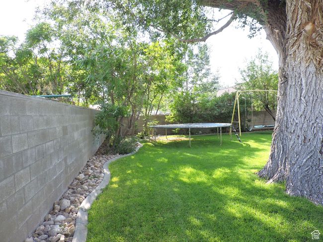 Beautiful Backyard | Image 55