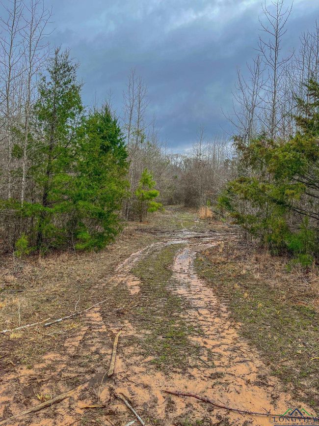 00 Mistletoe Rd, Home with 0 bedrooms, 0 bathrooms and null parking in Gilmer TX | Image 9