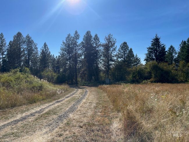 181 Harris Ridge Loop, House other with 3 bedrooms, 3 bathrooms and 2 parking in Kooskia ID | Image 13
