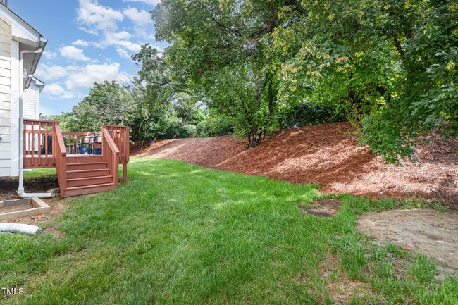 Backyard 1 | Image 31