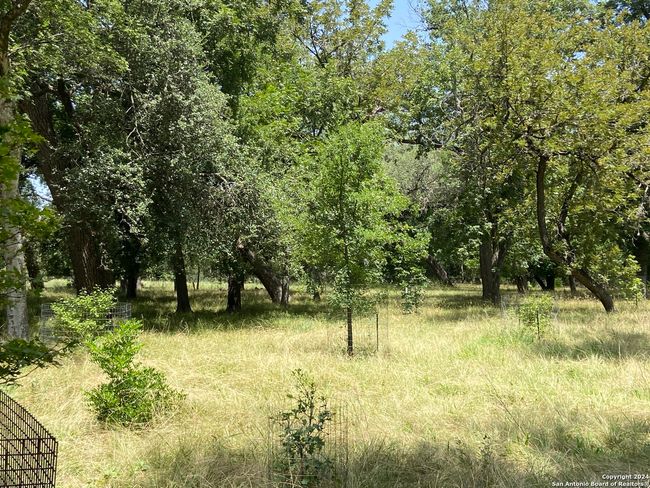 412 Lebouf Rd, House other with 3 bedrooms, 3 bathrooms and null parking in Utopia TX | Image 22
