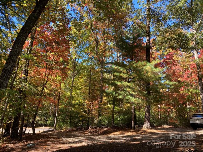 Cabin front in Autumn | Image 25