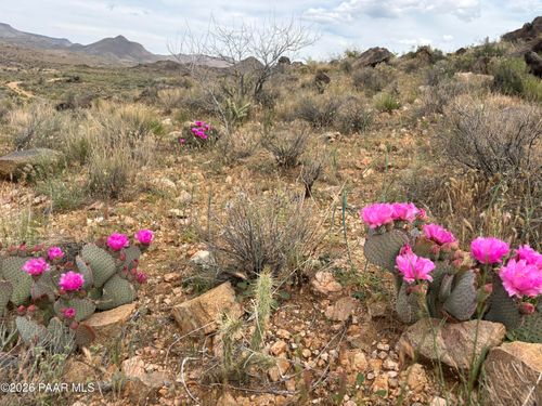 254-24-002 Mica, Kingman, AZ, 86401 | Card Image