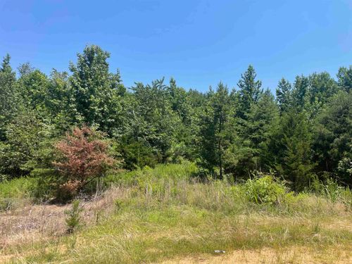 51 Billy Nance Hwy, Clifton, TN, 38425 | Card Image