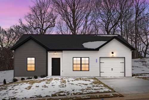 217 Wayne Hall Rd, Clarksville, TN, 37040-3675 | Card Image