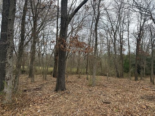 TBD (lot 7) N Florence St, Grand Saline, TX, 75140 | Card Image