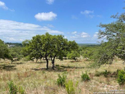 1074 Madrone Rd, Fischer, TX, 78623-2041 | Card Image