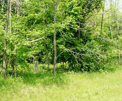 Lot 13 Margaret Ln, Park Falls, WI, 54552 | Card Image
