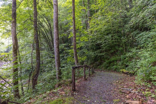 Community trail to waterfall & river | Image 91