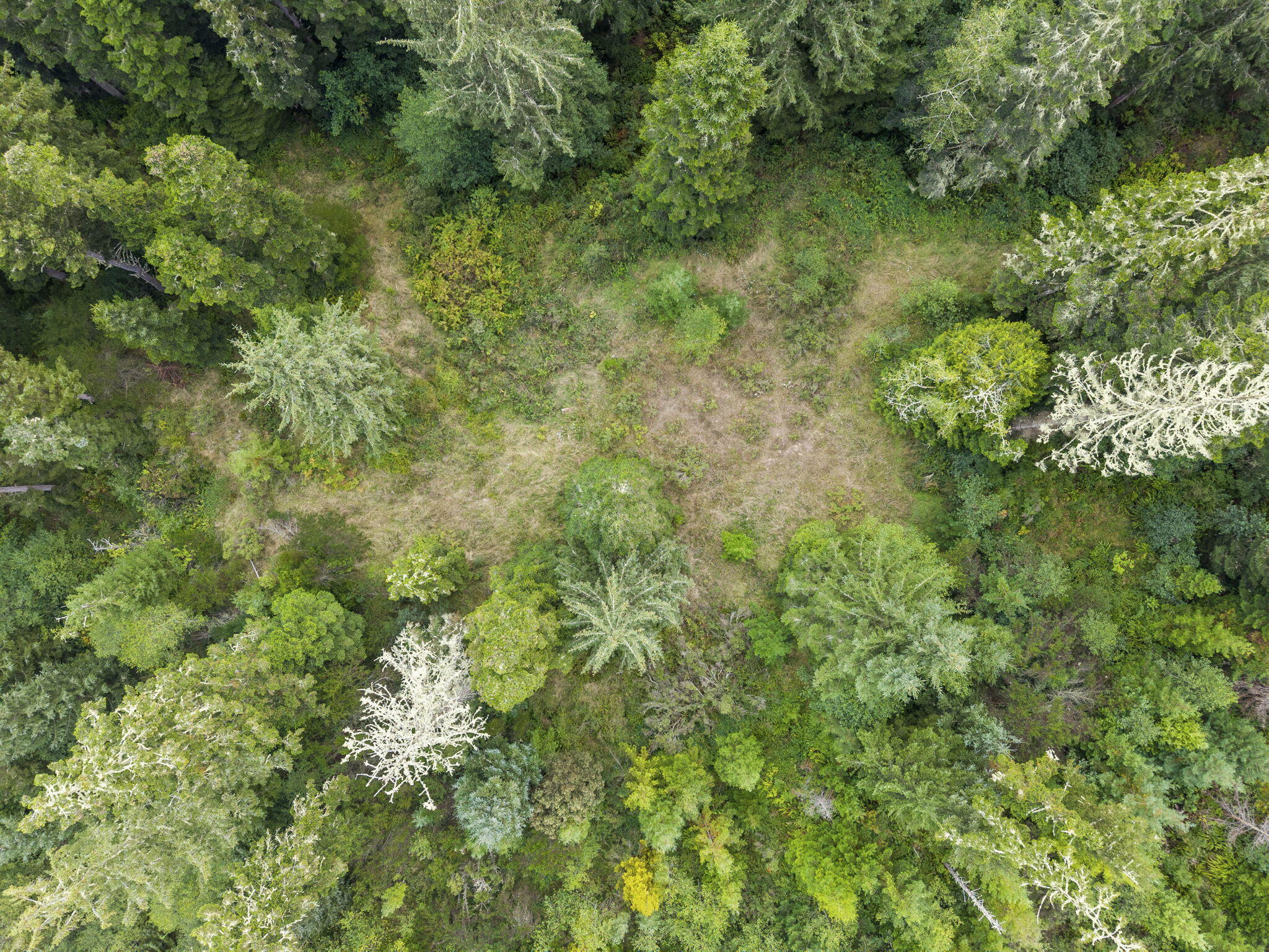 Land in Ferndale 3