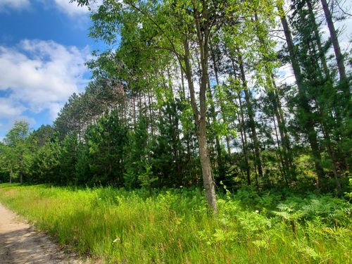 80 ACRES Beall Rd, Bear Lake, MI, 49614 | Card Image