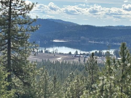 4XXX Ali Vista Way, Loon Lake, WA, 99148 | Card Image