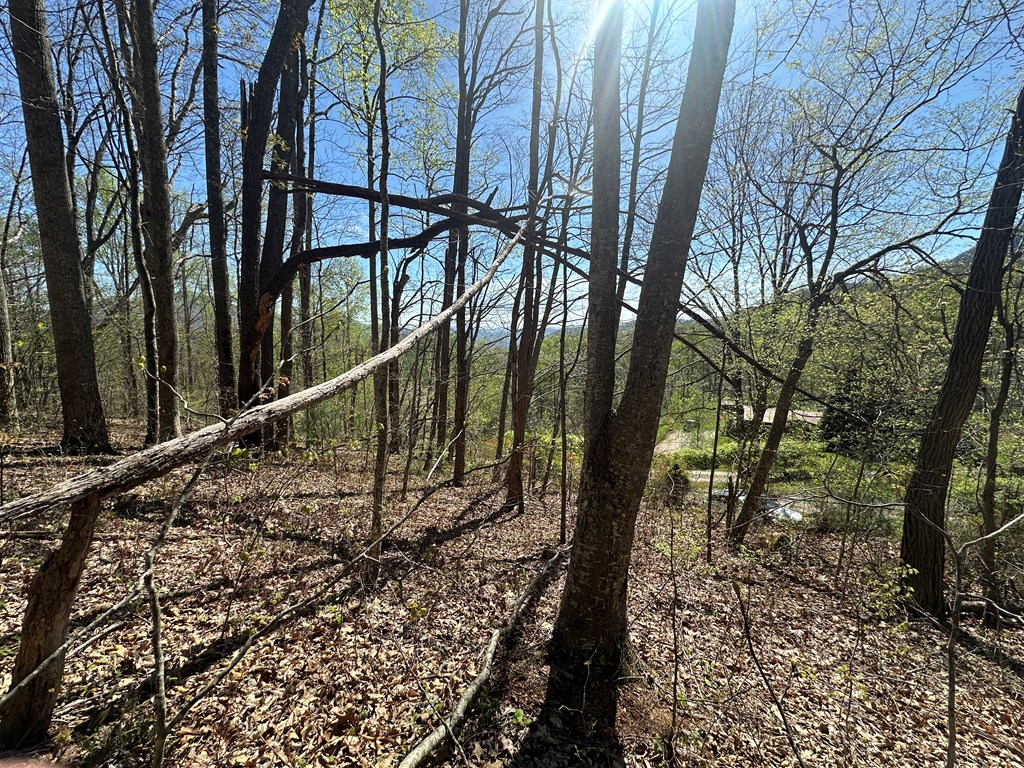 Land in Sylva 4