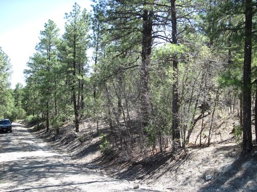 35 Green Shadow Rd, Tijeras, NM, 87059-8045 | Card Image
