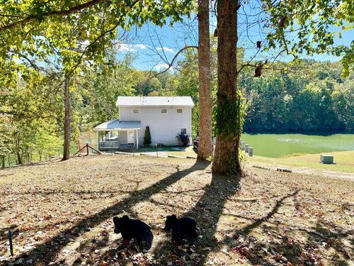 259 Bridge Fork Rd, Whitley City, KY, 42653-6005 | Card Image