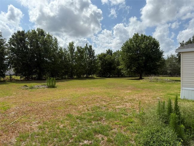 35215 Broken Bit Ln, House other with 3 bedrooms, 2 bathrooms and null parking in ZEPHYRHILLS FL | Image 9