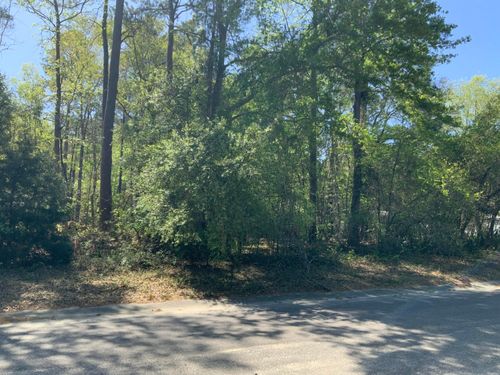 0 Ash Hill Drive, Eutawville, SC, 29048 | Card Image