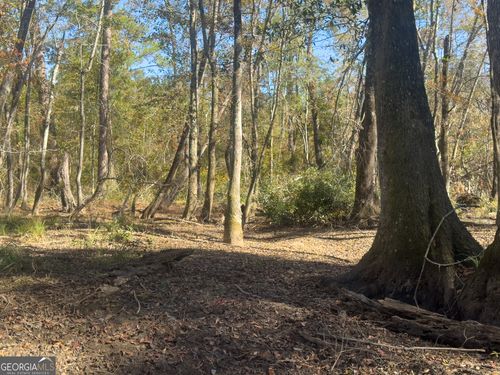 2 Henry Moxley Rd, Cobbtown, GA, 30420-3108 | Card Image