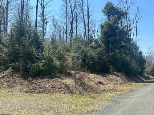 Lot 193 Florence Court, Davis, WV, 26260 | Card Image