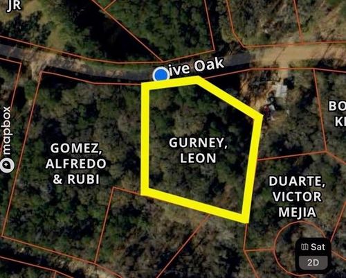 TBD Live Oak, Plantersville, TX, 77363 | Card Image