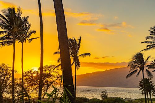 n203-32 Kai Makani Loop, Kihei, HI, 96753-5510 | Card Image