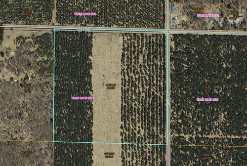 Lot 4 Bell Road, Saratoga, WI, 54494 | Card Image