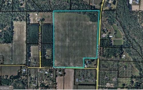 39 ACRES Ware St, Blackshear, GA, 31516 | Card Image