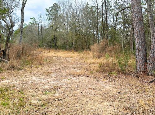 12280 Pelt Rd, Kountze, TX, 77625-6691 | Card Image