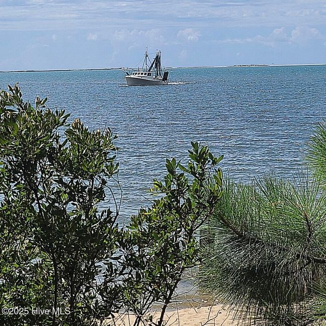 994 Seashore Dr Drive, Home with 0 bedrooms, 0 bathrooms and null parking in Atlantic NC | Image 4