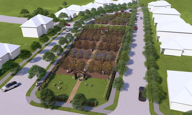 Beazer Homes Treeline | Image 22