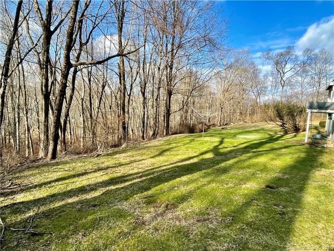 Backyard | Image 28