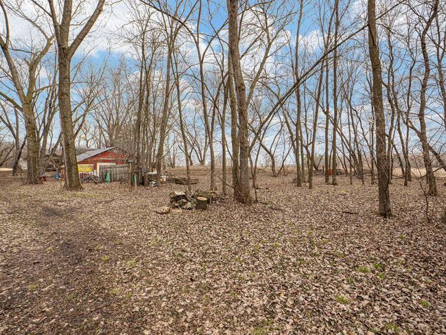 28925 Durant St NE Isanti MN 55040 USA-031-019-Back Yard-MLS_Size.jpg | Image 31