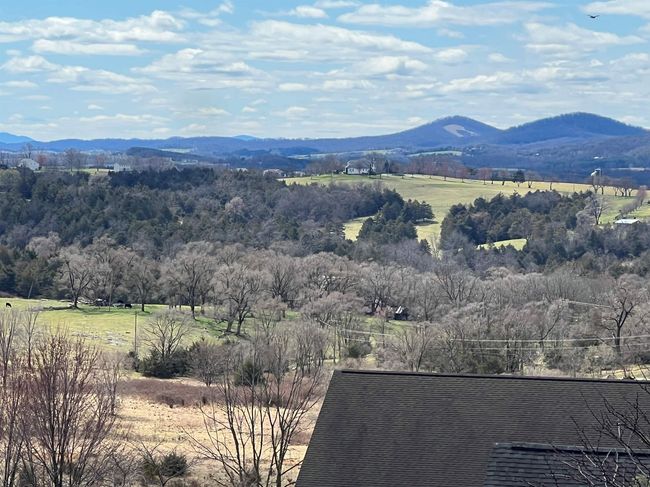 368 Broadmoor Ln, House other with 3 bedrooms, 3 bathrooms and null parking in Broadway VA | Image 31