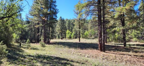 Tbd Sawmill Canyon Road, Ramah, NM, 87321 | Card Image