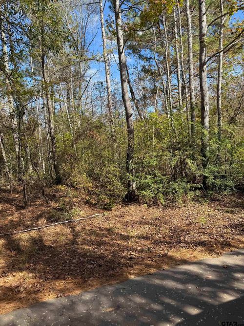 TBA An County Road 1204, Elkhart, TX, 75839 | Card Image