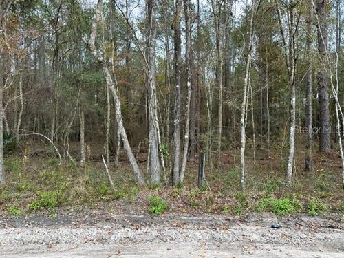 0 Se High Falls Rd, Lake City, FL, 32025 | Card Image