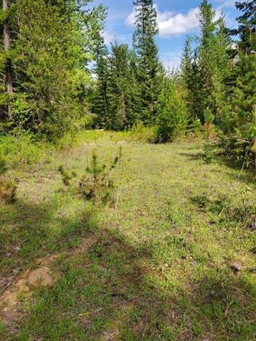 NKA Calispel Trl, Newport, WA, 99156 | Card Image