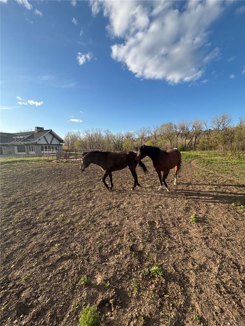 2503 Blue Creek Road, Billings, MT, 59101 | Card Image