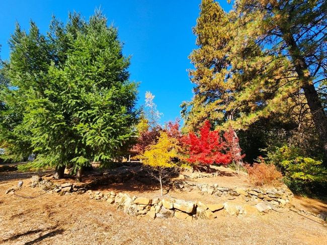 955 Grinding Rock Ct, House other with 3 bedrooms, 2 bathrooms and null parking in West Point CA | Image 79