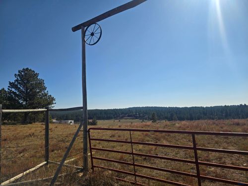 11815 W Argyle Rd, CUSTER, SD, 57730-9118 | Card Image