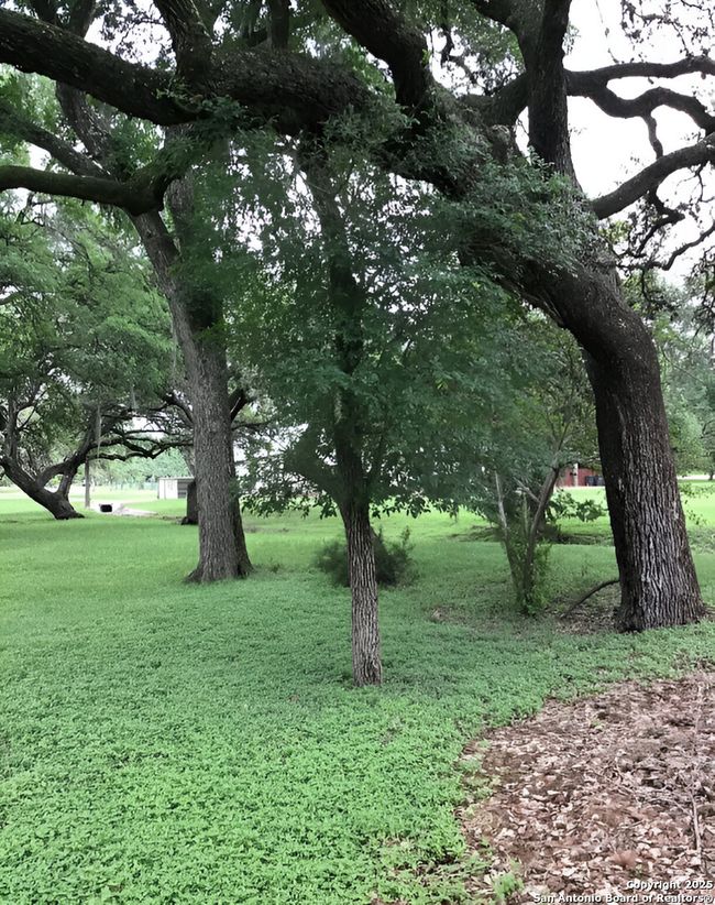 21209 Forest Waters Cir, Home with 0 bedrooms, 0 bathrooms and null parking in Garden Ridge TX | Image 7