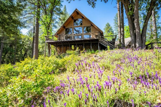 House overlooks wooded backyard with many mature plantings | Image 13